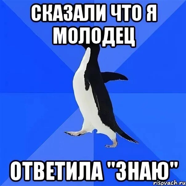 Молодец покажешь. Я молодец. я молодец картинки. я молодец мем. кто молодец я молодец картинка прикольная.