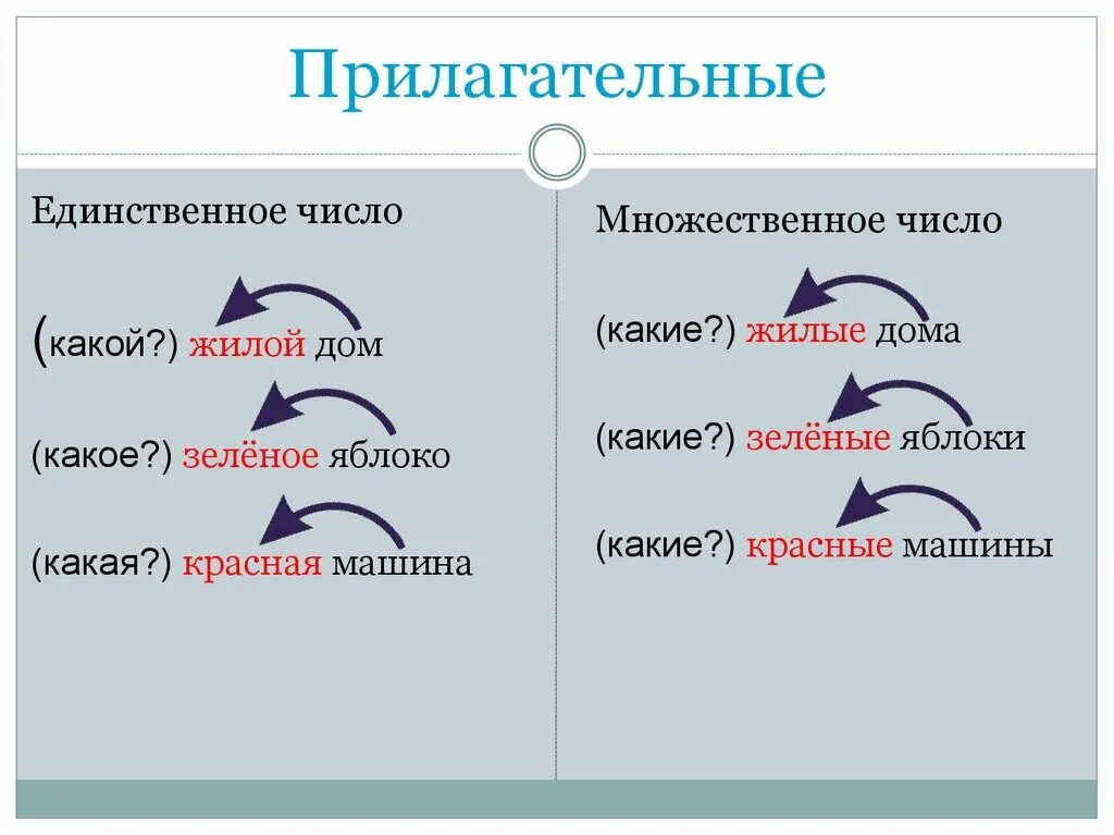 Число прилагательных 2 класс школа россии. Число имён прилагательных 2 класс школа России. Единственное число имен прилагательных 2 класс. Число имен прилагательных 2 класс. Единственные и множественные прилагательные.