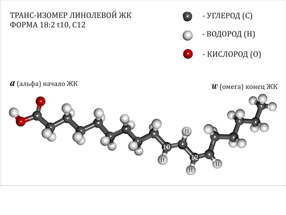 Альфа линолевая кислота. Линолевая кислота структурная формула. Линолевая кислота формула. Карбоновые кислоты линолевая.