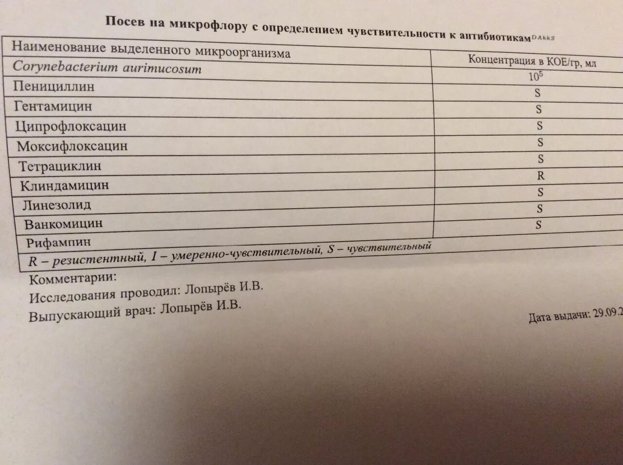 Бак посев на микрофлору и чувствительность. Анализ посев на флору. Посев мочи на микрофлору. Посев мочи на микрофлору Результаты. Анализ посев на фитофлору.