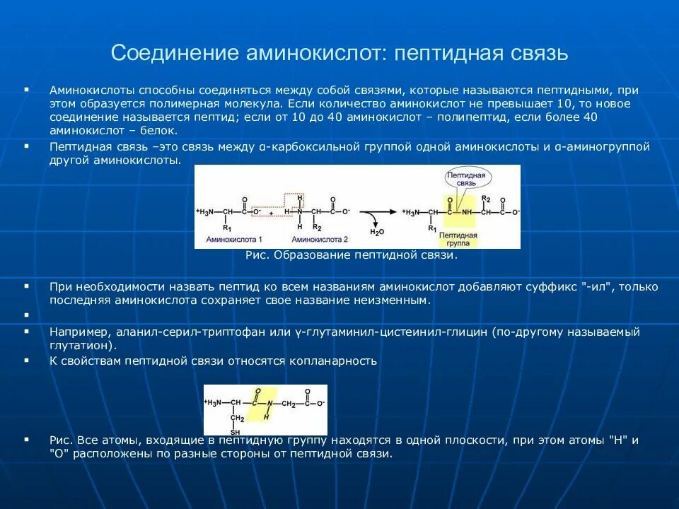 Связь углерод азот. Образование пептидной связи между аминокислотами схема. Соединение двух аминокислот пептиды. Образование пептидной связи. Химическая связь между углеродом и азотом.