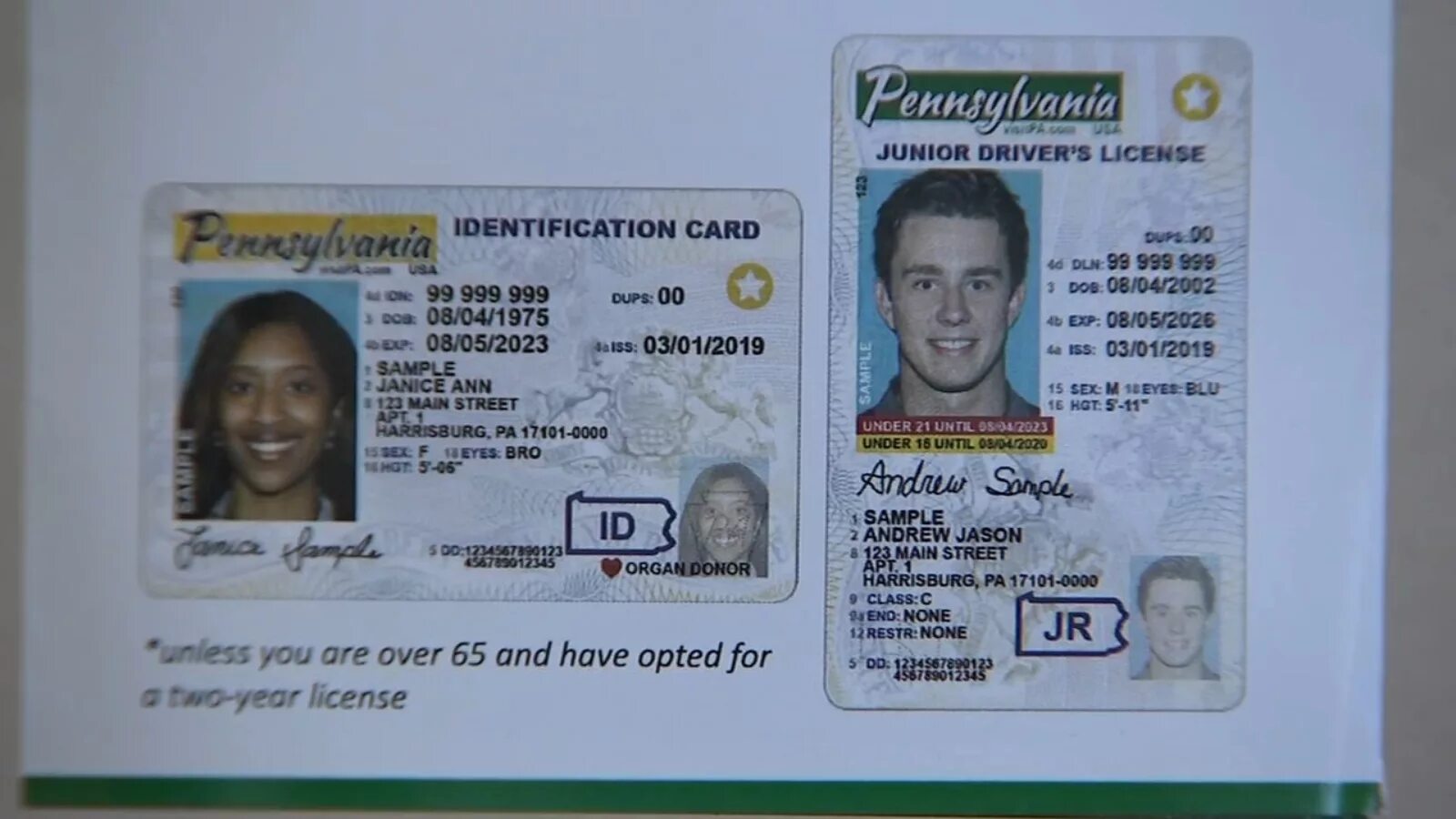 License ended. Pennsylvania Driver License. Driver License ID. Driver License New Jersey real.