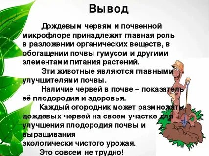 Функциональная грамотность текст про дождевого червяка