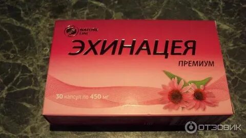 Эхинацея капсулы
