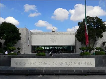 Museum anthropology