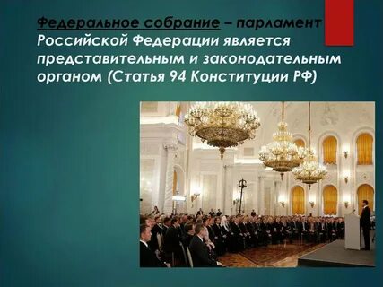 Органы образуемые палатами федерального собрания