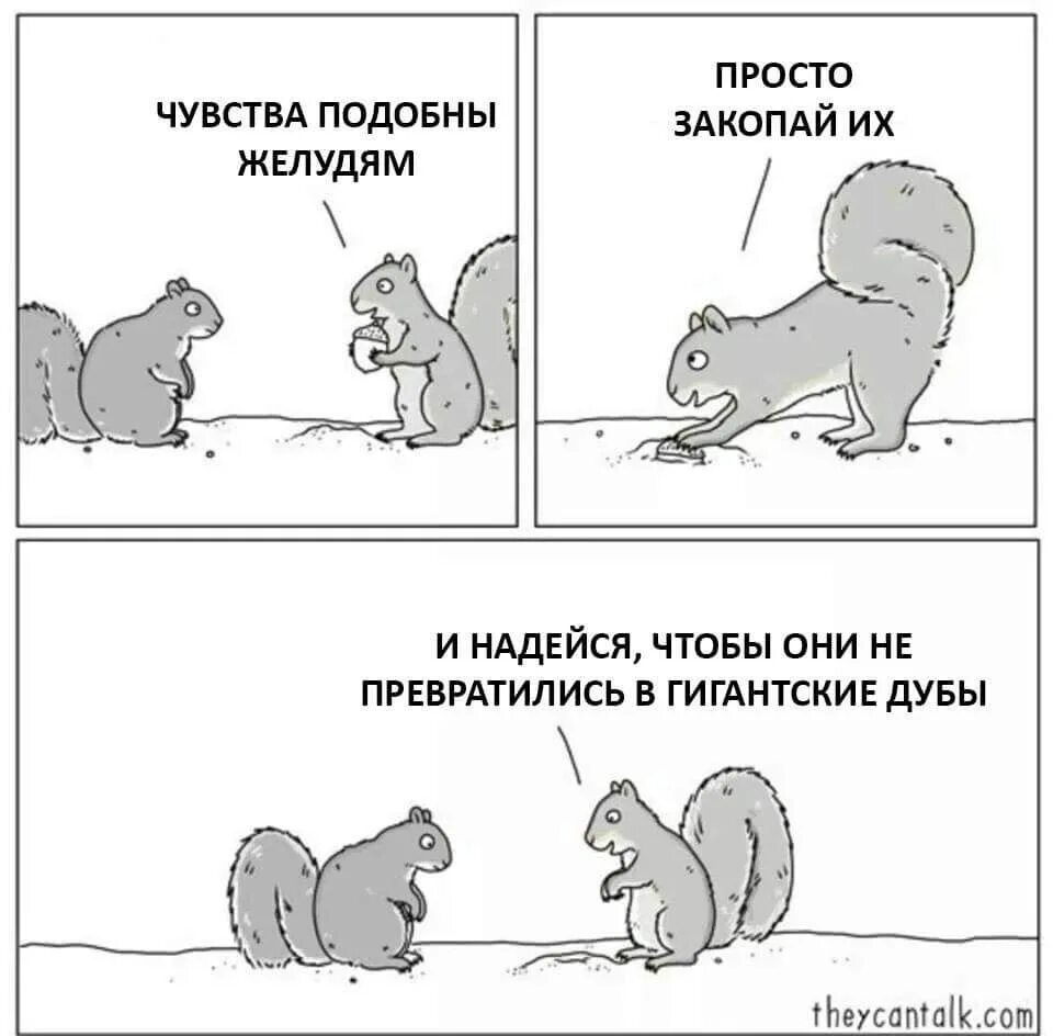 Чувствую себе подобных. Эмоции подобны желудям. схожие чувства. как они чувствуют. получить по желудям мем.