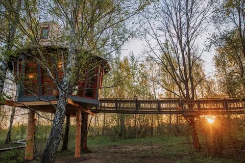 Отель лапочкино гнездо