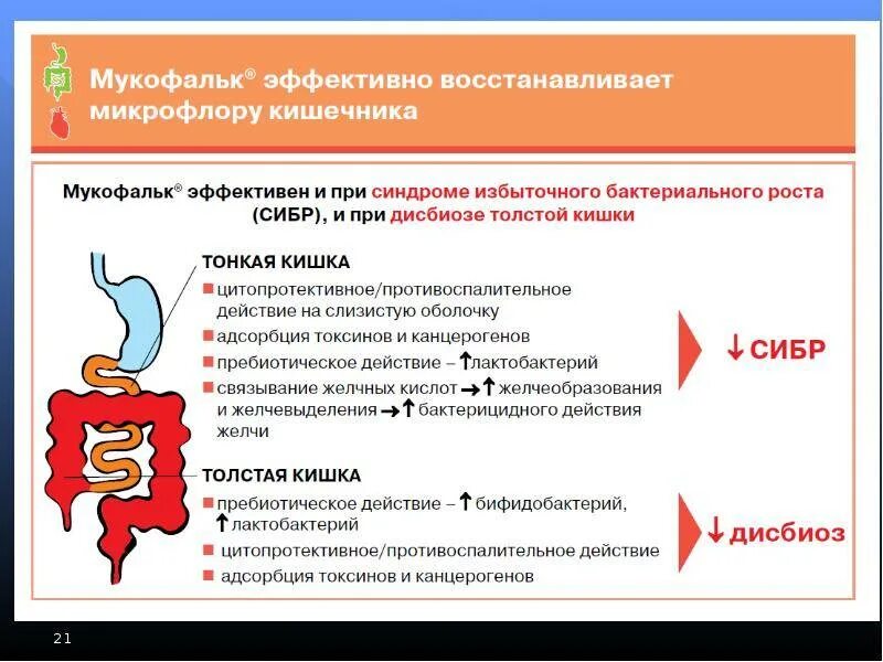 Сибр в кишечнике лечение. Синдром избыточного бактериального роста. сибр в кишечнике симптомы. синдром избыточного бактериального роста в кишечнике. синдром избыточного бактериального роста симптомы.
