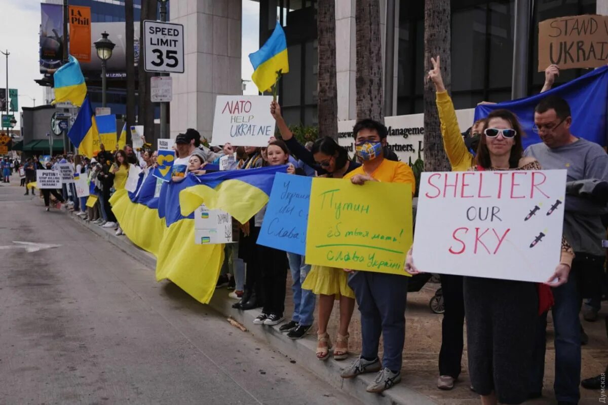 Люди поддержавшие украину. Митинг. Лос Анджелес митинг Украина. Массовый митинг. Украина люди.