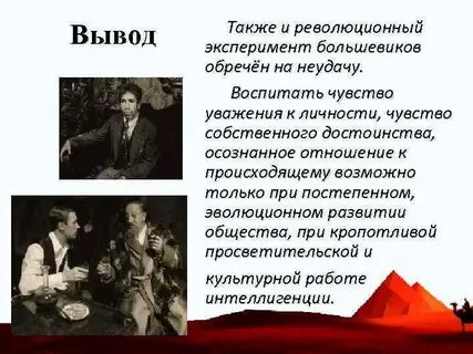 Эксперименты в повести собачье сердце
