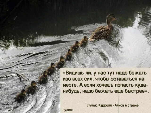 Женя изо всех сил нет фразеологизма. Бежать изо всех сил чтобы оставаться на месте. Бежит изо всех сил. Надо бежать чтобы оставаться на месте. «Если хочешь оставаться на месте, беги изо всех сил».