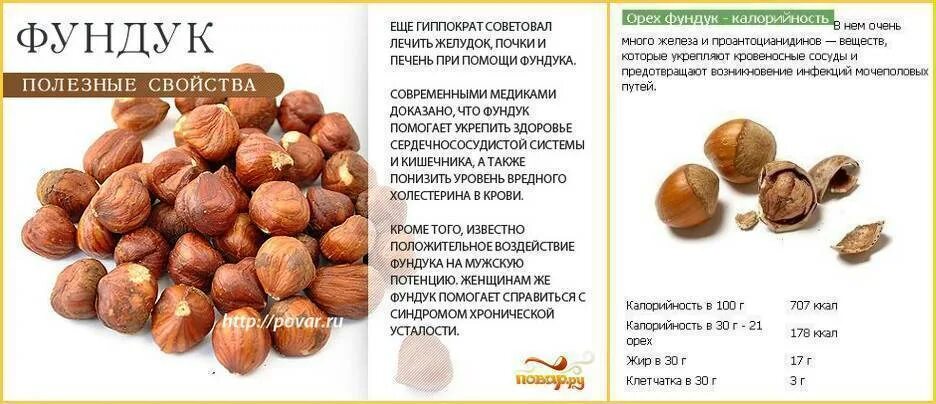 Лесной орех. Лесной орех польза. Фундук полезные свойства. Чем полезны орехи фундук. Лесной орех.