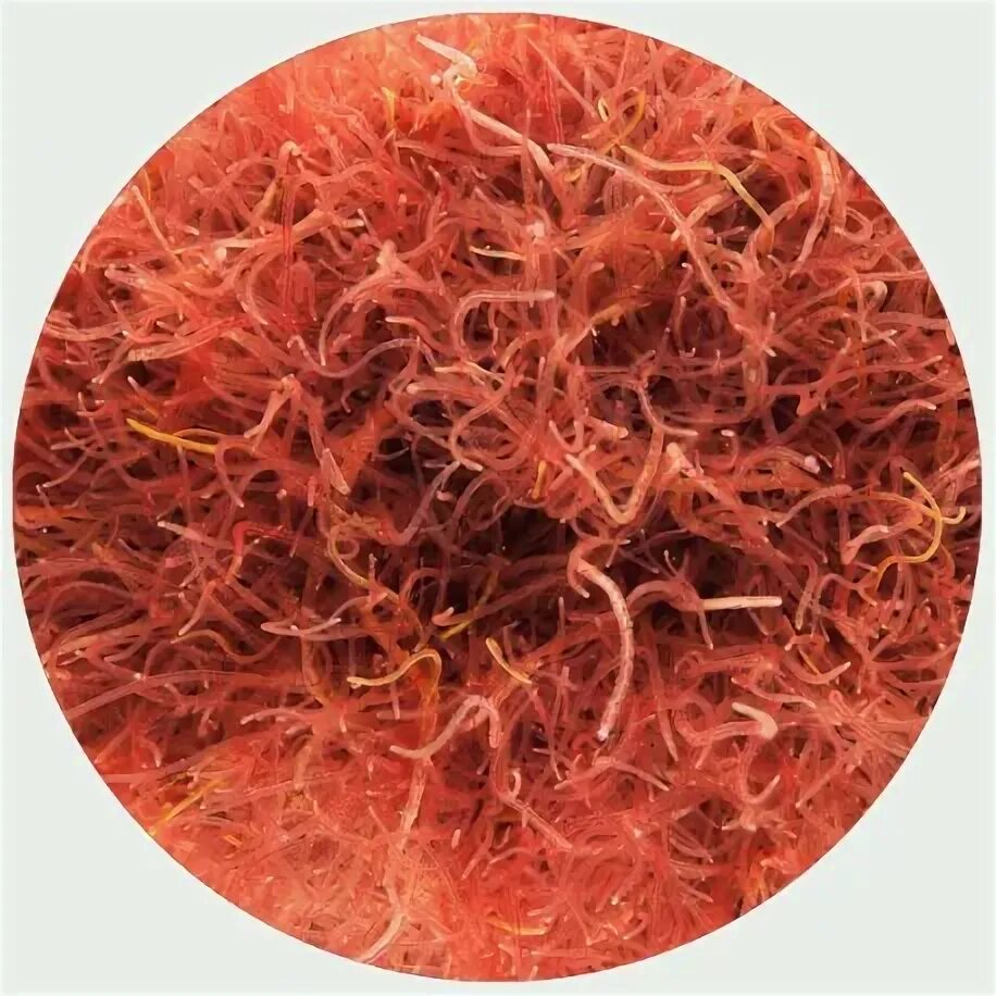 трубочник корм для рыб. трубочник корм для рыб. трубочник корм для рыб. трубочник для аквариумных рыб. трубочник корм для рыб экокорм.