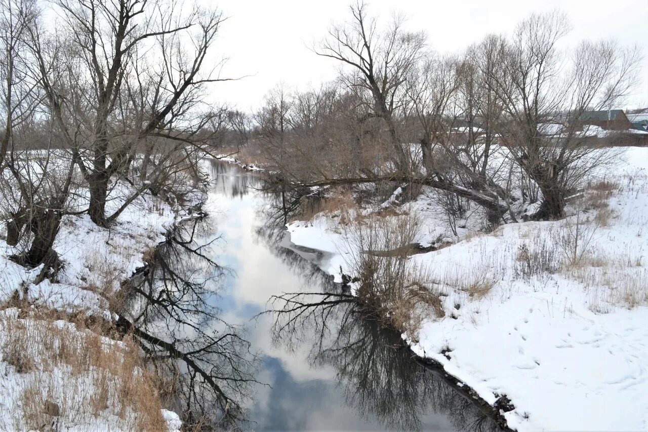 Уровень реки мокша. Река мокша в темникове. реки мордовии сура и мокша. темников мост через мокшу. пенза речка.