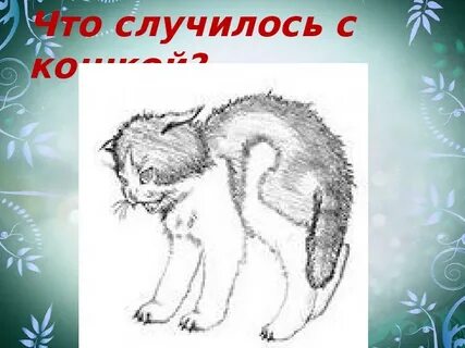 Конспект урока котята 1 класс