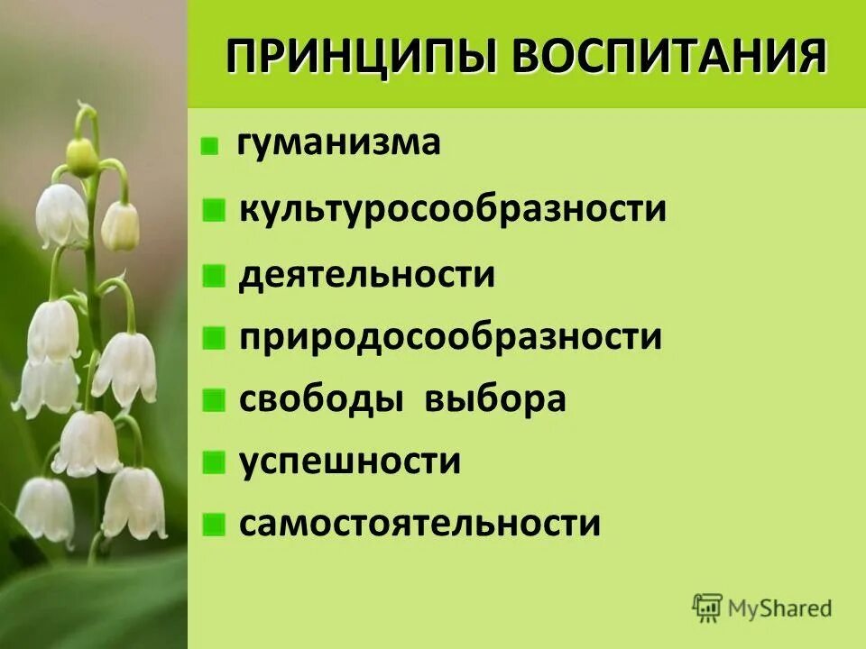 Принцип культуросообразности воспитания