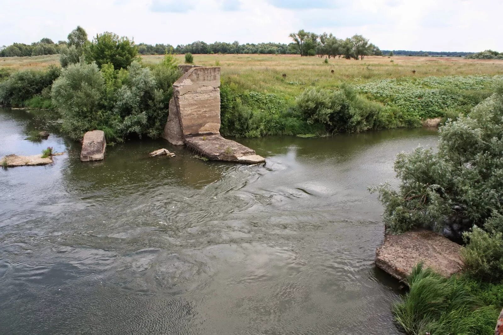 Мокша большеглушицкий район самарская область. Самарская область район большая глушица село мокша. Наровчат мокша разлив 2023. Река озерки мокшанский район. Река мокша рязанская область.