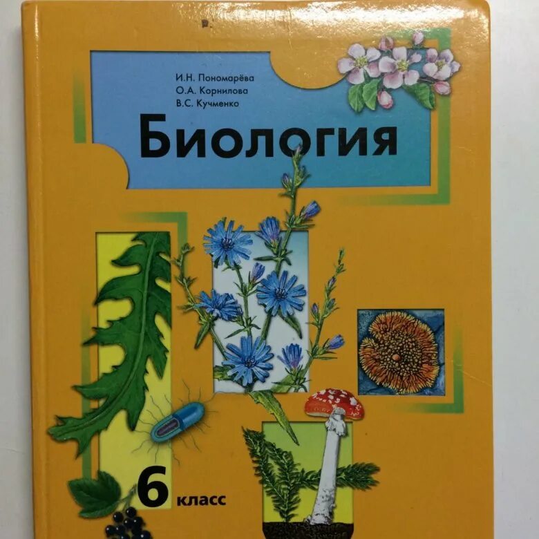 Учебник по биологии. Биология. 6 Класс. Учебник. Учебные пособия по биологии. Биология 6 класс учебник Пономарева.