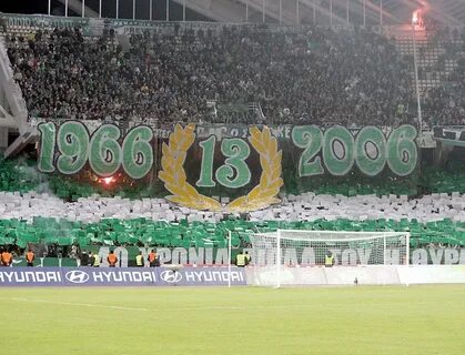 13 ворота