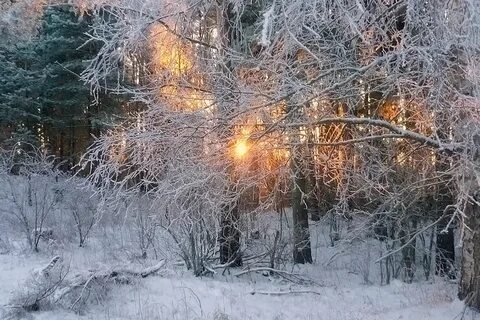 Заиграла зимнее солнце