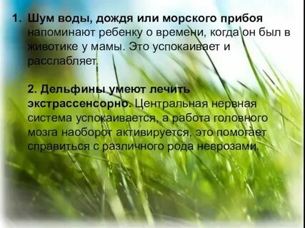 Зашумел в лесу золотой дождь 4