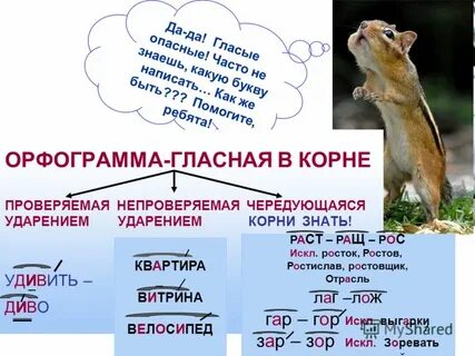 Орфограмма слова волк