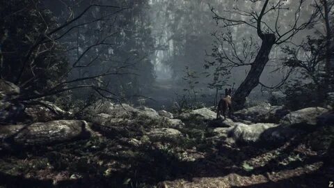 Blair's witch
