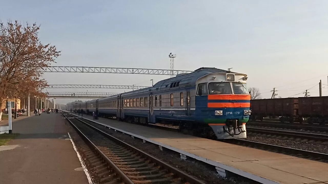 Светлогорск дизель поезд. Поезд Светлогорск 1. Светлогорск - Жлобин. Жлобин (станция). Электричка березина минск