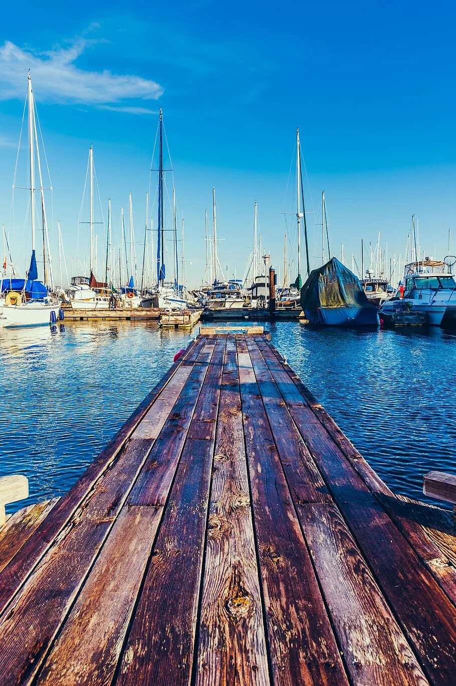 Empty docks