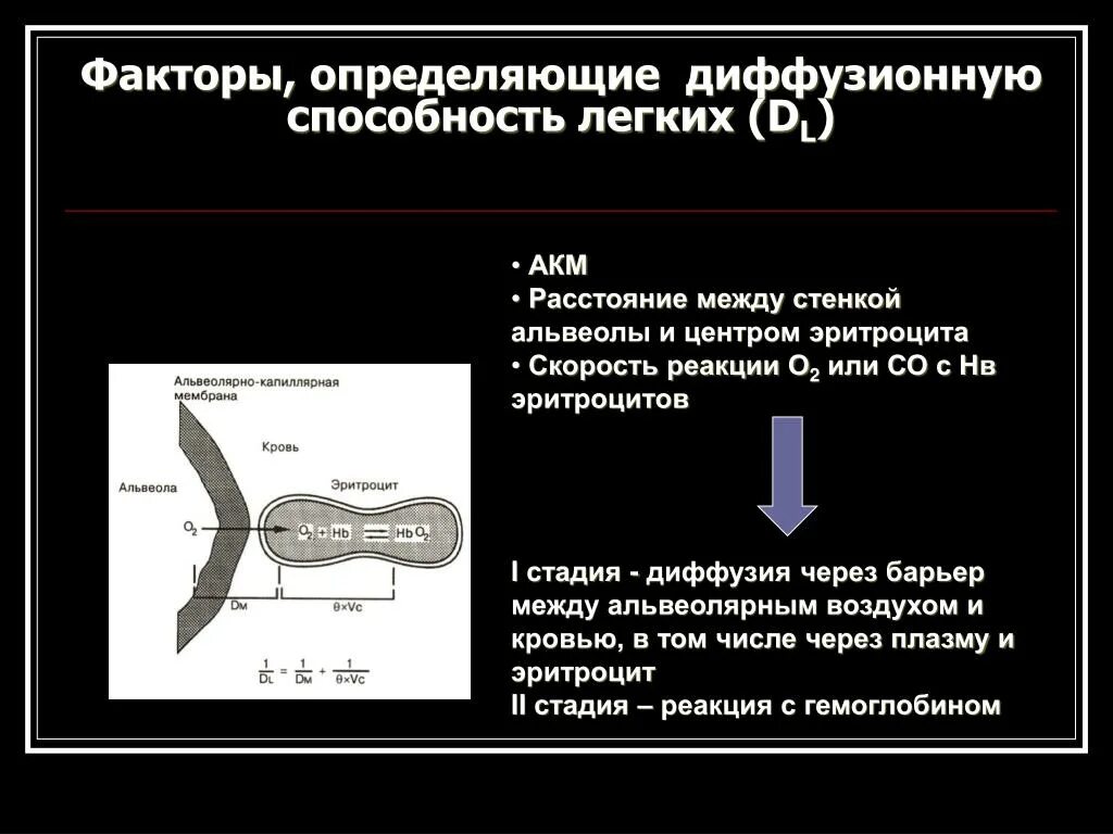 Диффузная способность. Диффузионная способность лёгких физиология. Факторы определяющие диффузионную способность легких. Диффузионная способность легких факторы ее определяющие. Факторы диффузионной способности легких.