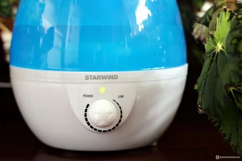 Starwind увлажнитель воздуха