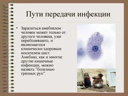 Способ заражения амебы