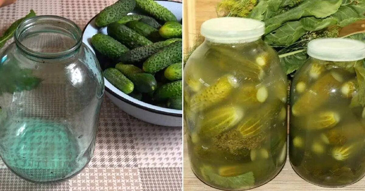 Сделает банке огурец