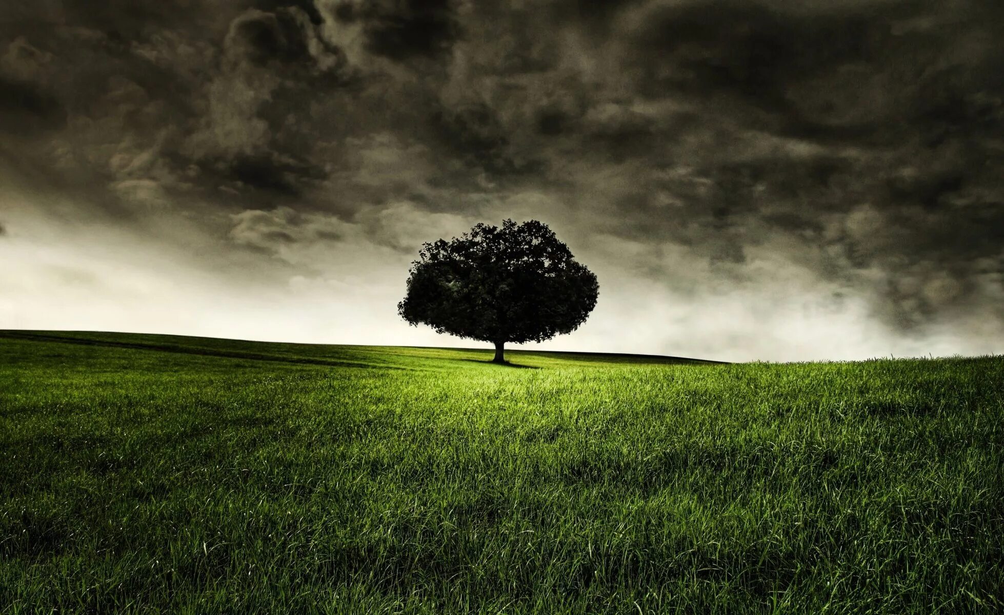 Мистическое дерево. Сирил роландо картины дерево. Красивое дерево. Пейзаж без деревьев. Деревья в снегу.