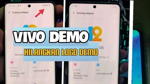 Vivo demo