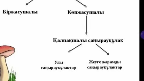 Целлюлиті бар бөксенің порно фотосы