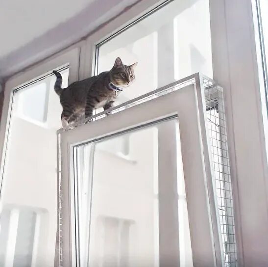 Защита на окна для кошек