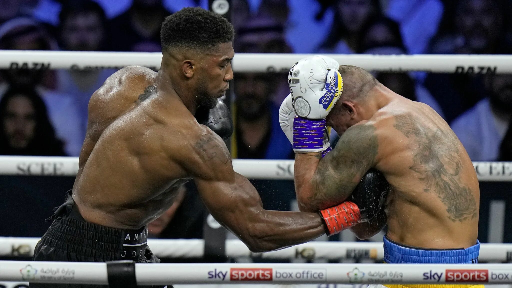 Усик сколько поражений. Тайсон фьюри усик. Full fight tyson fury vs oleksandr usyk. Бокс тайсон фьюри усик. Usyk fury.