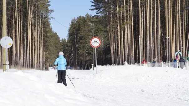 Город берёзовский свердловская область парк. Город берёзовский свердловская область парк. Парк тропа здоровья березовский. Березовский тропа здоровья зимой. Парк тропа здоровья березовский.