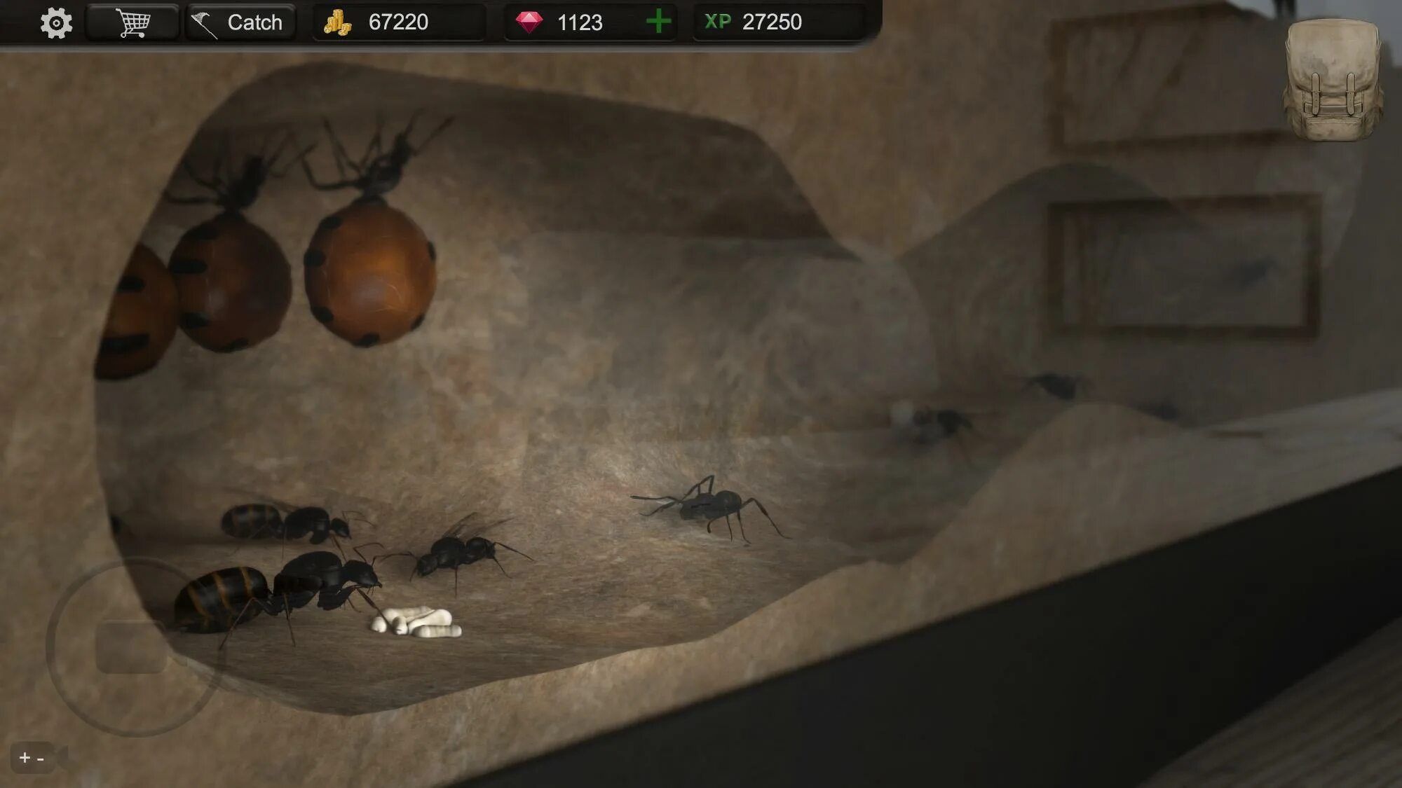 Ant ant tycoon. Ant Colony игра. Симулятор муравья 3l. SIM-Ant-game. Королева муравьёв игра.