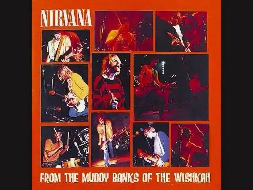 Aneurysm Nirvana. Nirvana from the Muddy Banks of the Wishkah. Live at the Paramount, Seattle / 1991. School Nirvana. Nirvana aneurysm