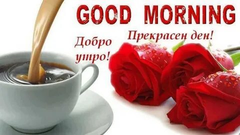 Открытие утро