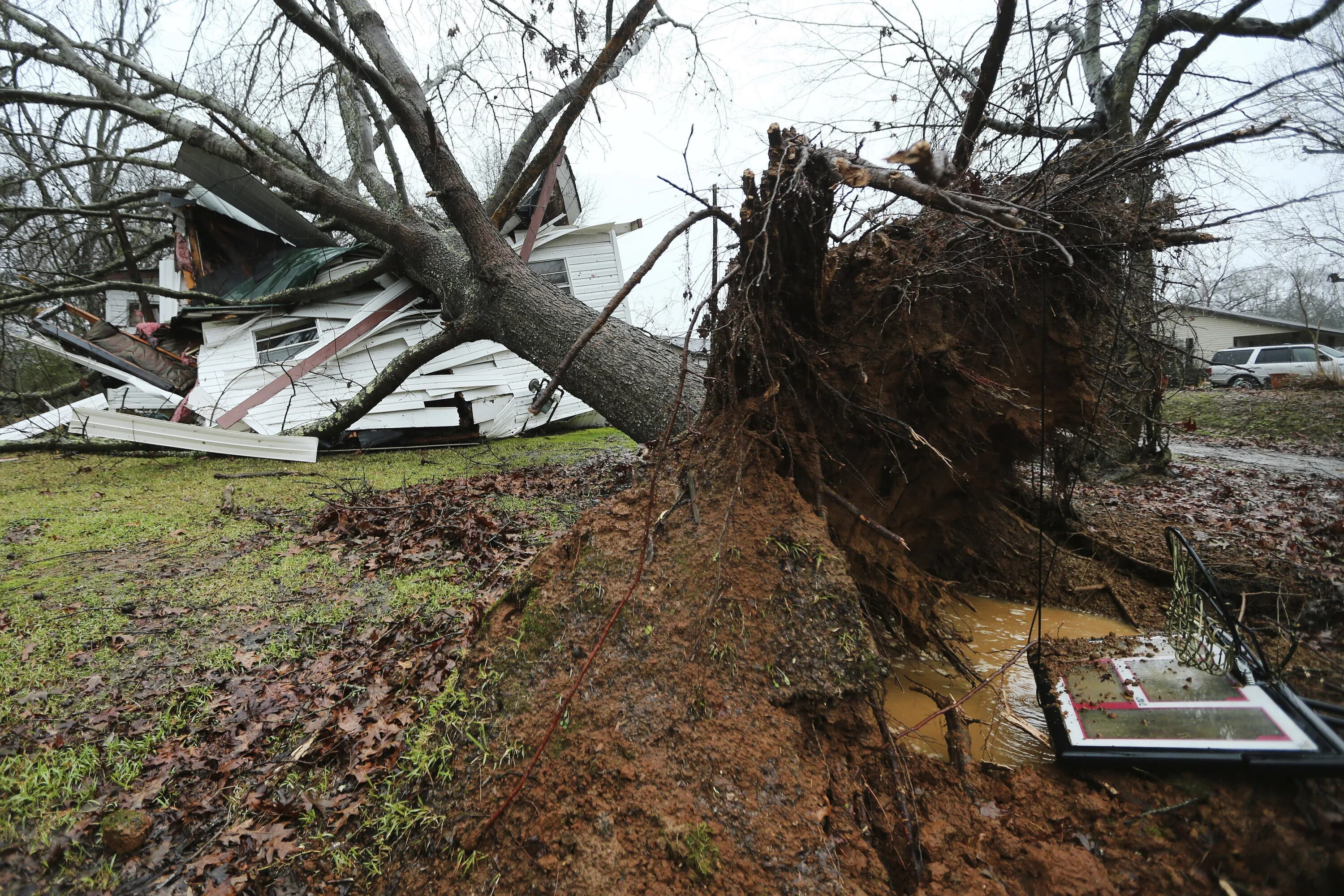 Последствия ветров. Разрушения от урагана. Деревья после смерча. Разрушительный ветер.