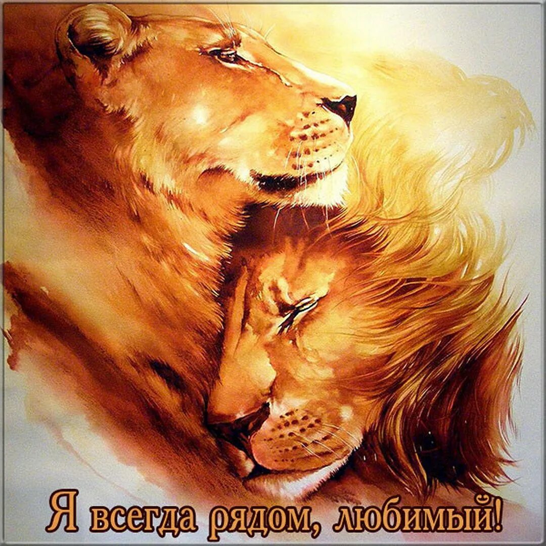 Рыба лев. Лев и стрелец. Лев и обезьяна. Обез льва. Девушка в объятиях льва.