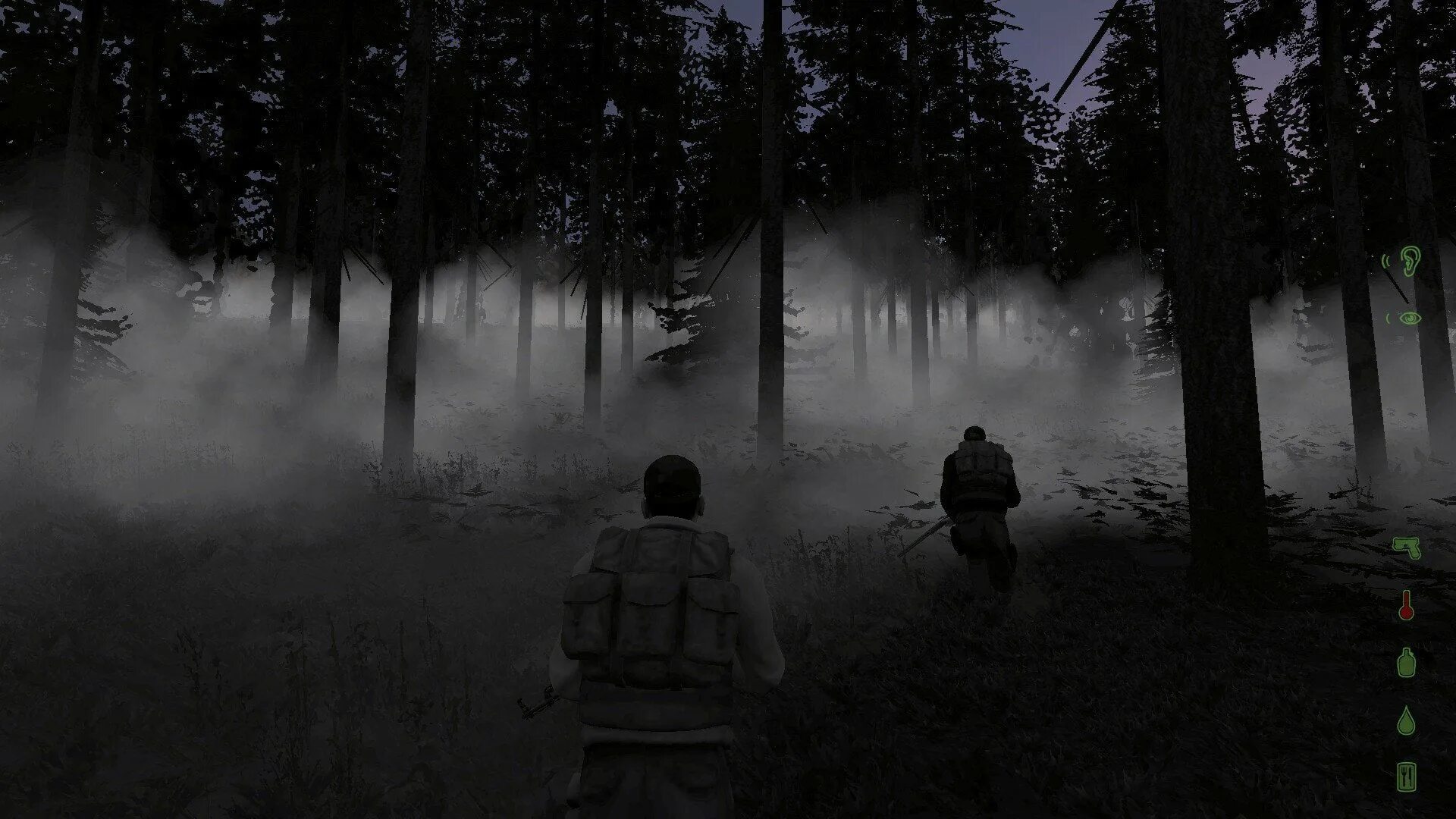 The rain mod. Партизан DAYZ. Лес игра DAYZ. Черная Поляна DAYZ. DAYZ Stalker Art.