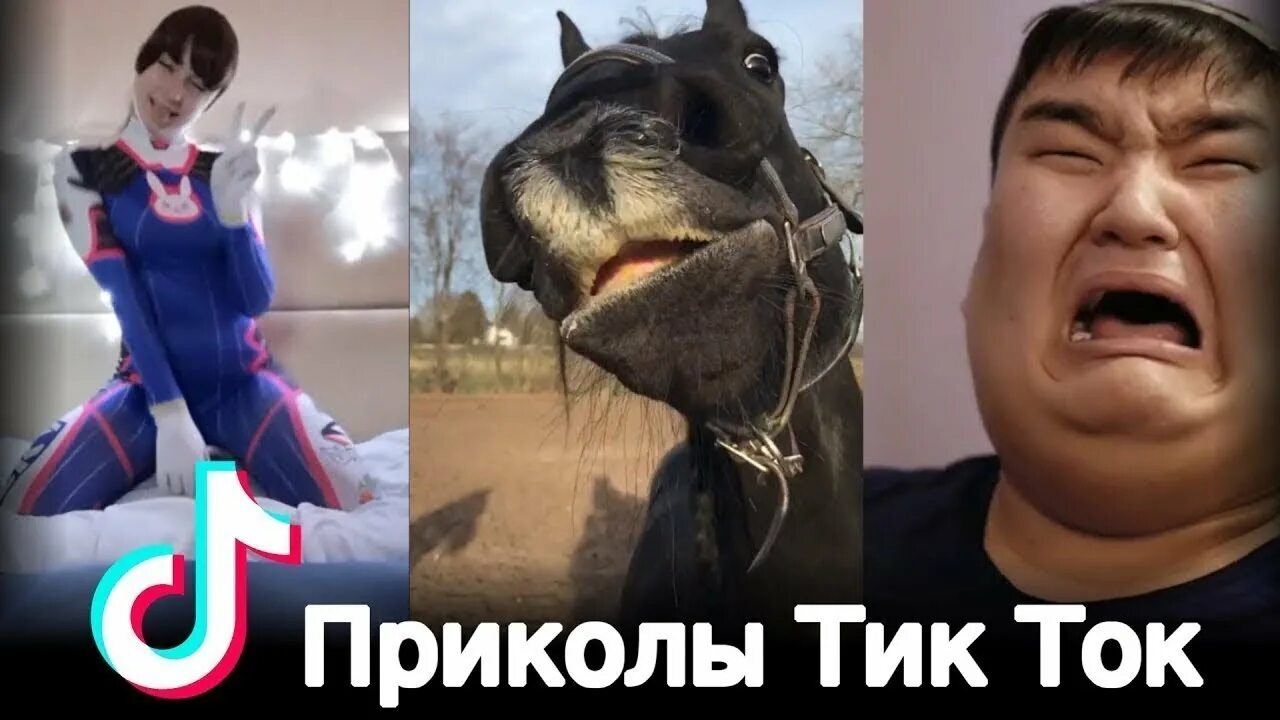 Тик ток давай посмотрим. Тик ток приколы. Приколы из тик тока. Смешные шутки их тик тока. Шутки из тик тока.