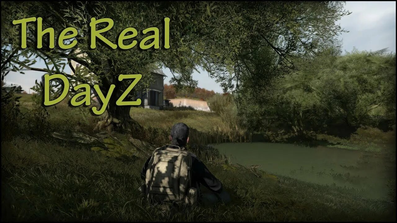 Dayz шапка. Sirena dayz. Dayz bohemia interactive. Арма 2 дейз мод. Dayz обложка.