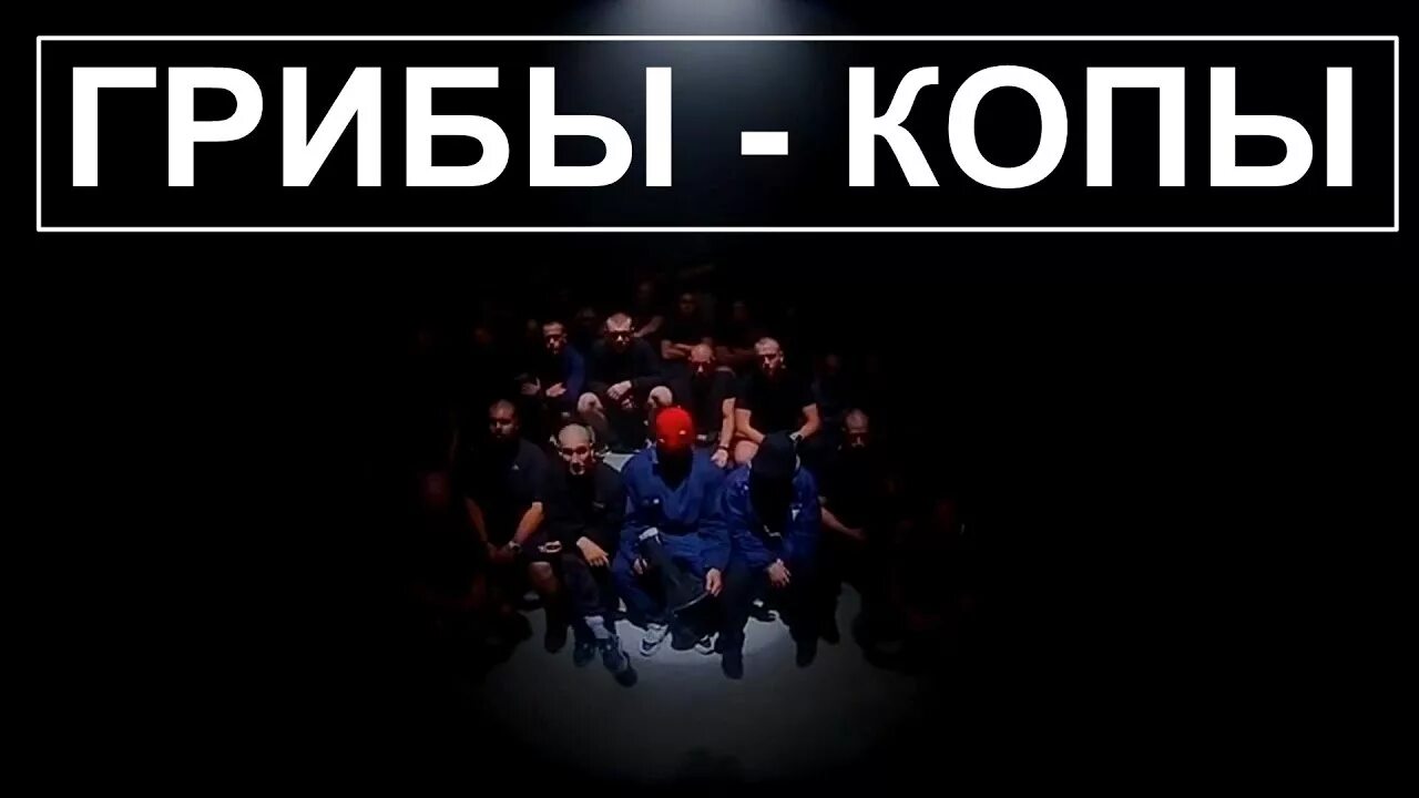 Группа грибы копы. Группа грибы. Грибы копы слушать. Грибы копы слушать. Копы griby.