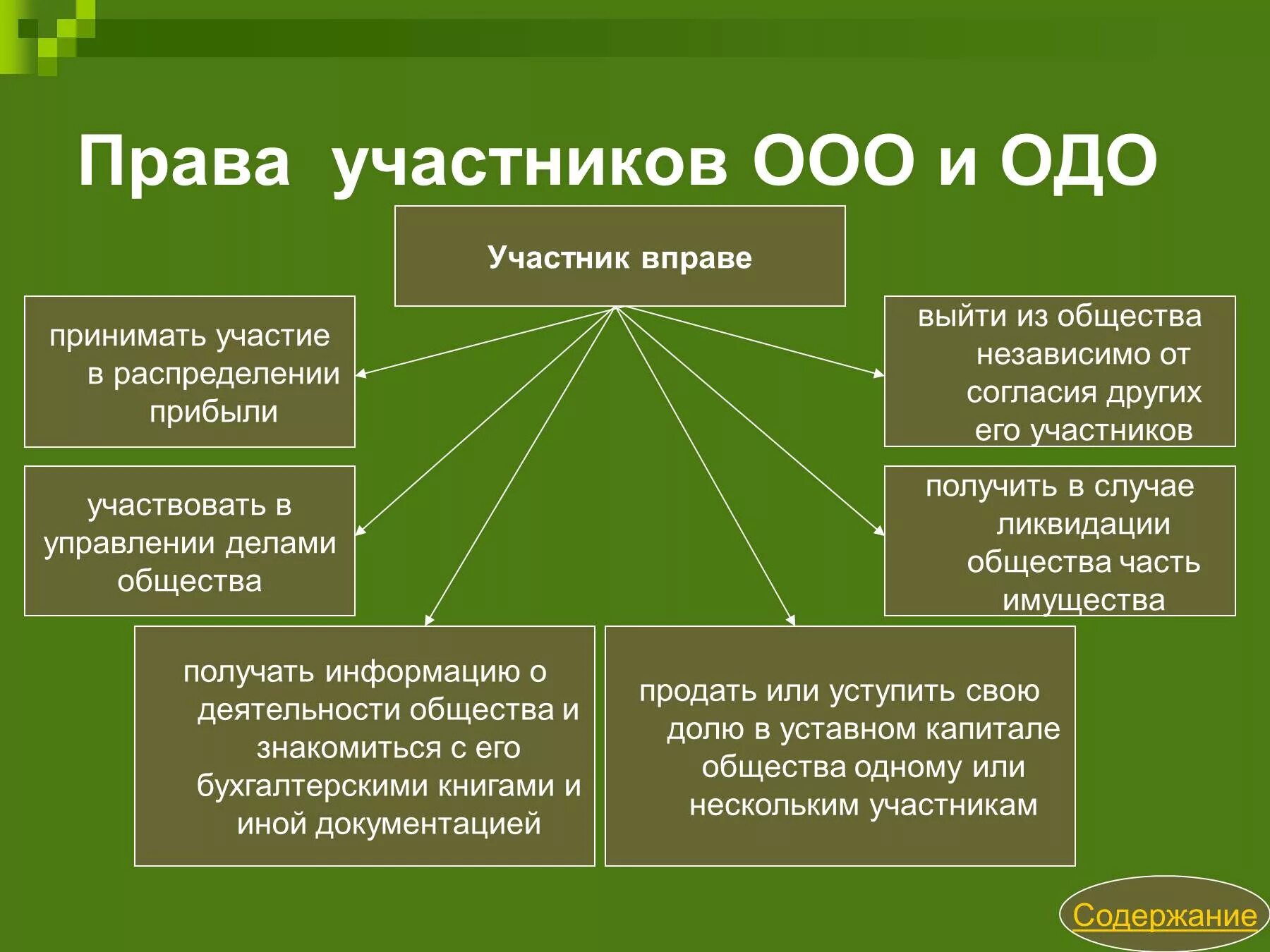 Общество с ограниченной ответственностью обладает